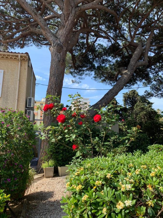 Hotel Beau Rivage Le Lavandou Luaran gambar